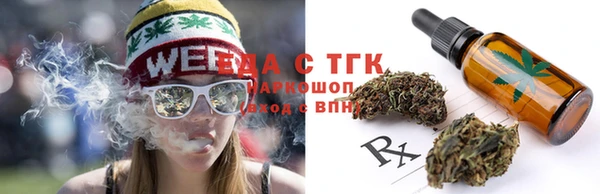 молекула духа Сосновка