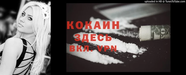 мдпв Мегион