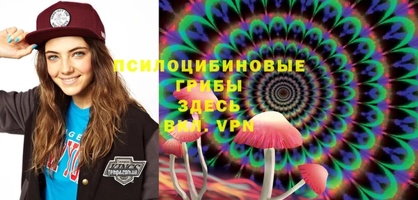 ПСИЛОЦИБИНОВЫЕ ГРИБЫ Медвежьегорск