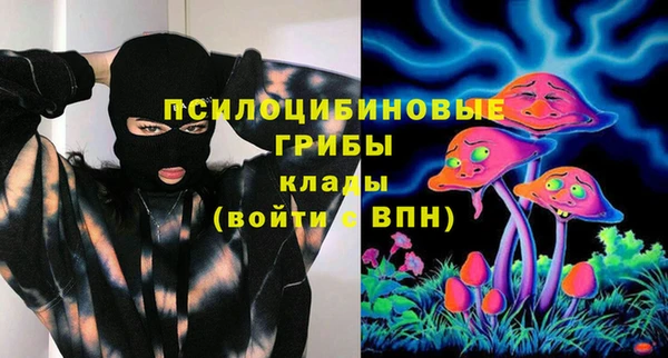 мдпв Мегион