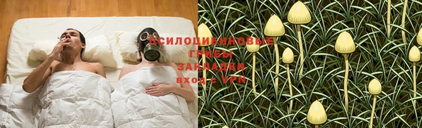 ПСИЛОЦИБИНОВЫЕ ГРИБЫ Медвежьегорск