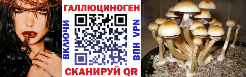 Псилоцибиновые грибы мухоморы  Правдинск 